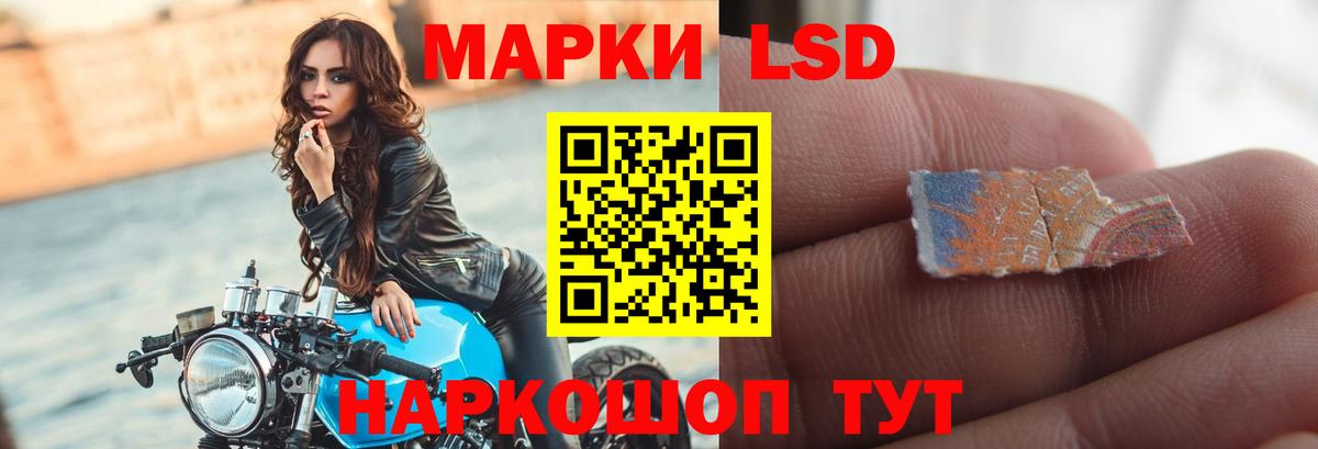 Ачхой-Мартан  LSD-25 экстази  Вход с VPN  Лсд 25 экстази ecstasy  Лсд 25 экстази кислота 
