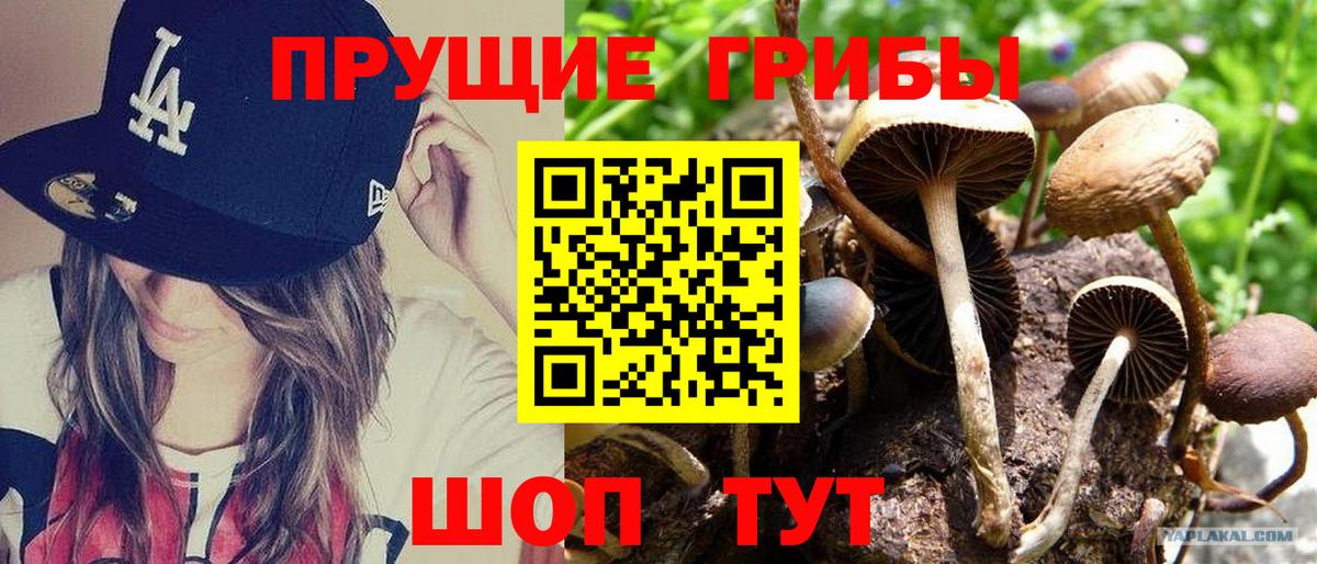 Псилоцибиновые грибы прущие грибы  Вход с VPN  Ачхой-Мартан 
